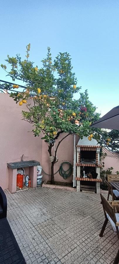 Апартаменти Casa De Ferias Duplex Em Сезімбра Екстер'єр фото
